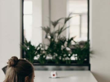 如何在香港查詢公司注冊(cè)信息詳解