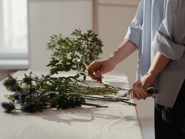 一站式中國商標(biāo)注冊服務(wù)，全程代辦更省心