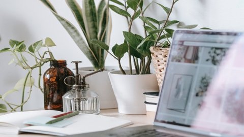 土耳其授權代表是什么？了解土耳其市場合規(guī)要求