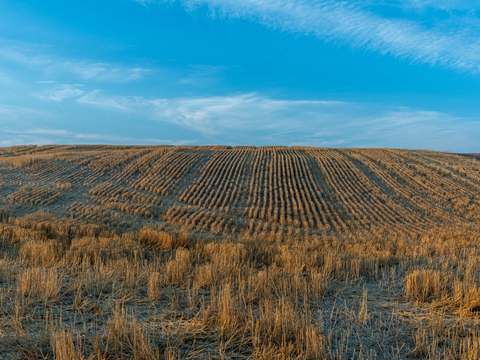 香港境外投資備案材料全包準(zhǔn)備，高效過(guò)審無(wú)憂